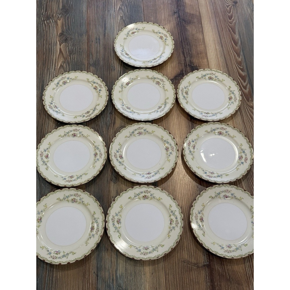 Vintage Transore Ware Floral Spray Plate Set of 10 - 7.5"